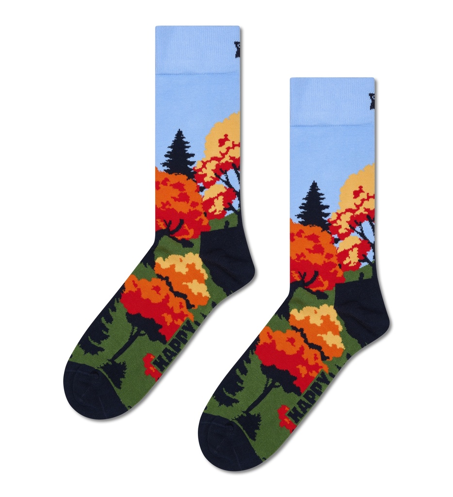 Autumn Sock